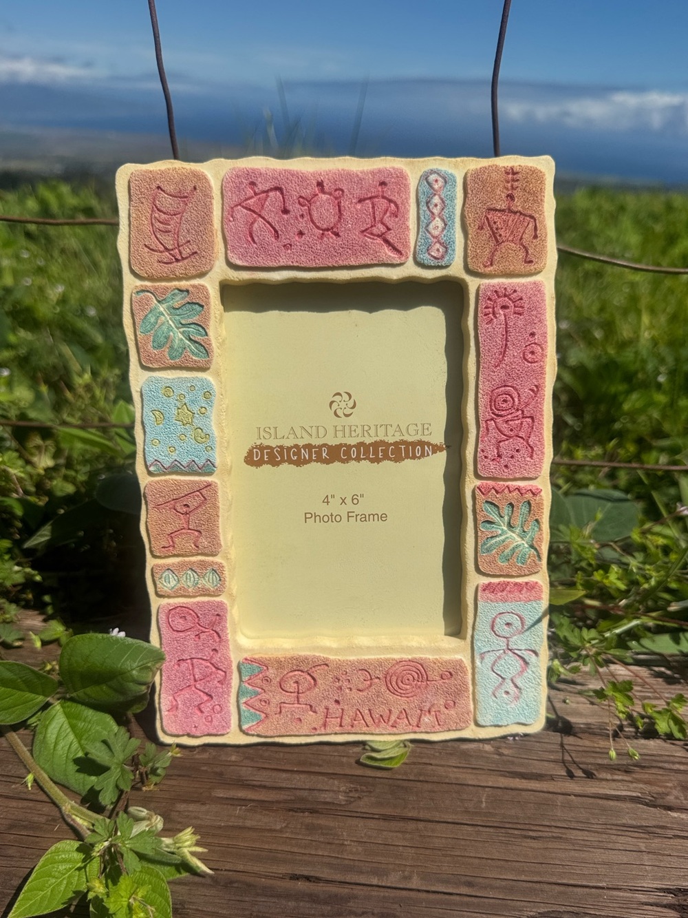 New Island Heritage Hawaiian petroglyphnature motifs Tropical Picture Frame